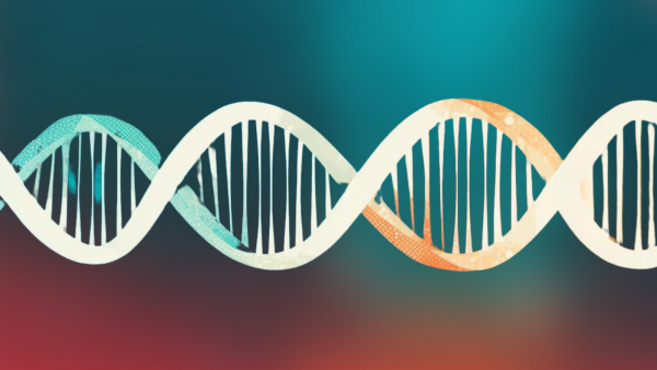 Tümör Mutasyon Yükü (TMB) Paneli